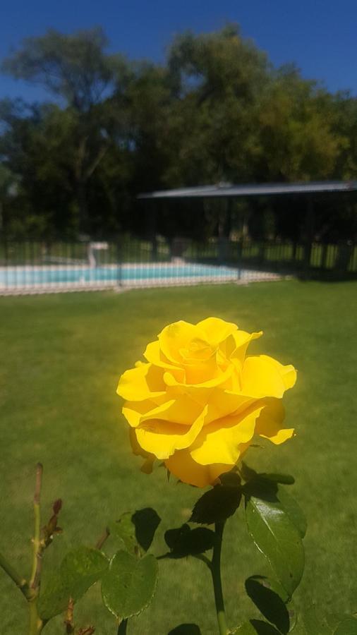 Hotel Don Mateo - Casa De Campo Salta Zewnętrze zdjęcie